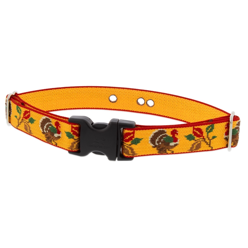 Lupine 1 Turkey Trot 16 24 Underground Fence Collar