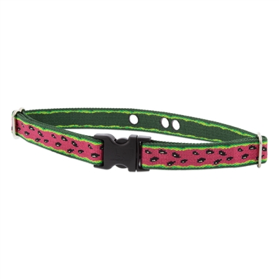 Retired Lupine 3/4" Watermelon 16-24" Underground Containment Collar