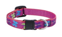 Lupine 1/2" Wing It Cat Safety Collar