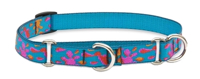 Lupine 3/4" Wet Paint! 10-14" Martingale Training Collar