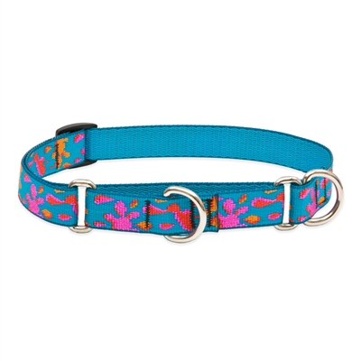 Lupine 3/4" Wet Paint! Martingale Training Collar