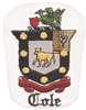 Cole Coat of Arms or Family Crest embroidered patch