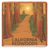 CALIFORNIA REDWOODS hat pin