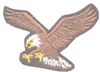 eagle embroidered patch