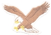 eagle embroidered patch