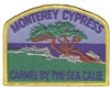 MONTEREY CYPRESS souvenir embroidered patch