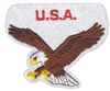 USA eagle souvenir embroidered patch