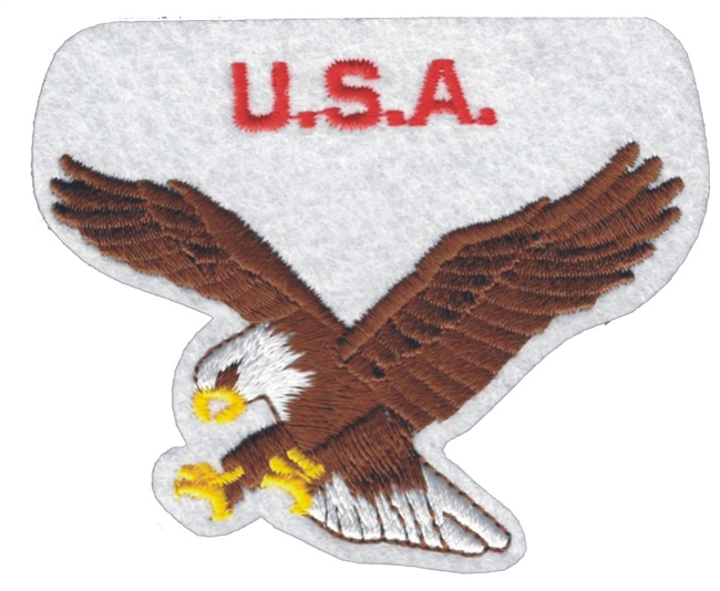 USA eagle souvenir embroidered patch