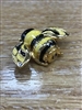 Bumble Bee Pin