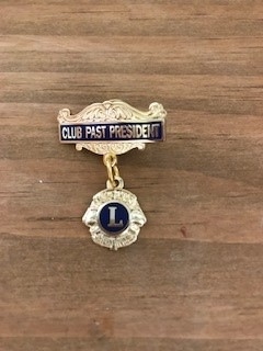 Plain Past President Medal