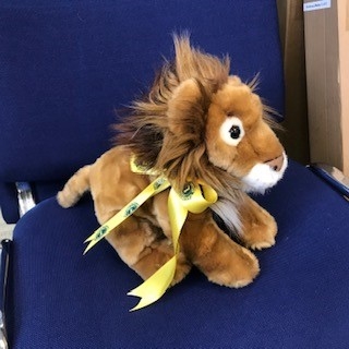 Medium Plush Toy Lion