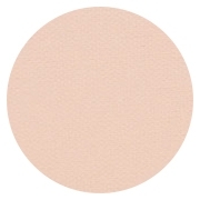 Pro Finish Compact - Dual Active Powder Foundation - Cashmere