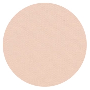 Pro Finish Compact - Dual Active Powder Foundation - Cashmere