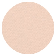 Pro Finish Compact - Dual Active Powder Foundation - Honey