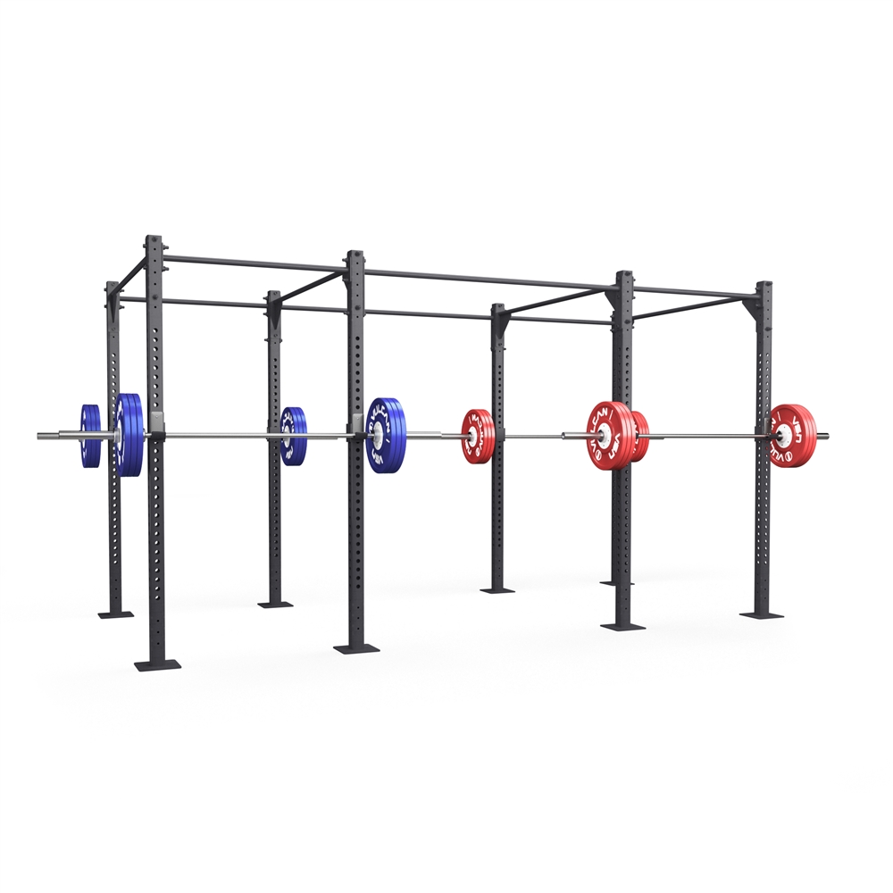 Vulcan 14' Elite Pull Up  Rig