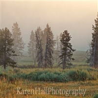 Yellowstone Mist 2