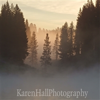 Yellowstone Mist 1
