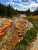 Yellowstone River Bed