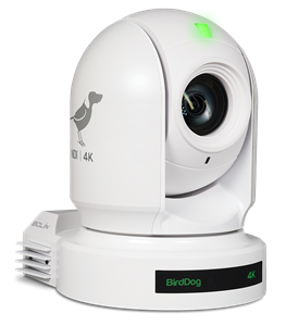 BirdDog EYES P400 4K 10-Bit Full NDI PTZ Camera (White)