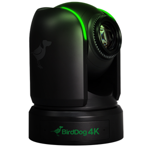 BirdDog P4K 4K Full NDI PTZ Camera with 1" Sony Sensor (Black)
