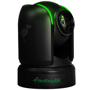 BirdDog P4K 4K Full NDI PTZ Camera with 1" Sony Sensor (Black)