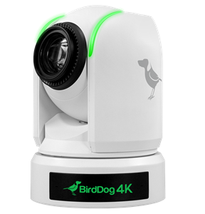 BirdDog P4K 4K Full NDI PTZ Camera with 1" Sony Sensor (White)