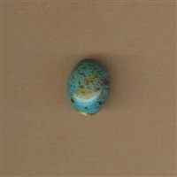 Bead-Porcelain 14x18 small oval