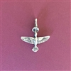 Photo of The Southwest Hummingbird Pendant