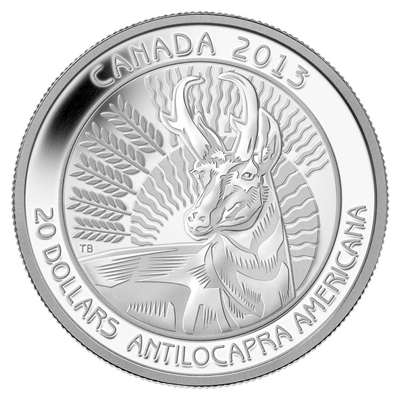 RDC 2013 $20 Untamed Canada - Pronghorn Antelope Silver (No Tax) impaired