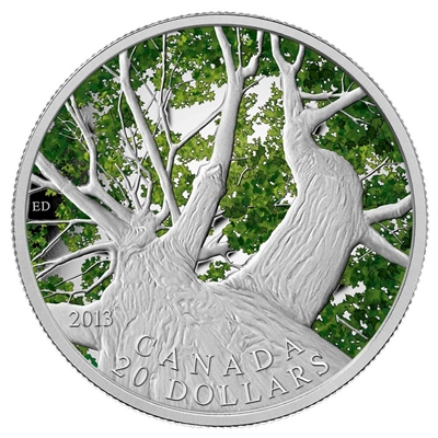 RDC 2013 $20 Canadian Maple Canopy - Spring Fine Silver (No Tax) impaired