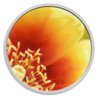2013 Canada 25-cent Magnified Beauty - The Eastern Prickly Pear Cactus
