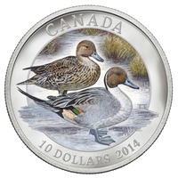 2014 Canada $10 Northern Pintail Duck Fine Silver Coin (Tax Exempt)
