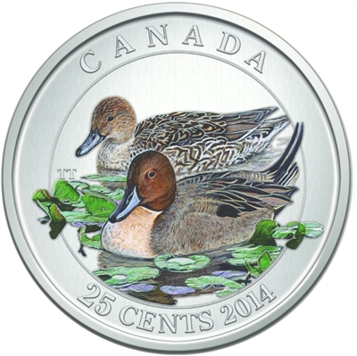 2014 Canada 25-cent Ducks of Canada - Pintail Duck