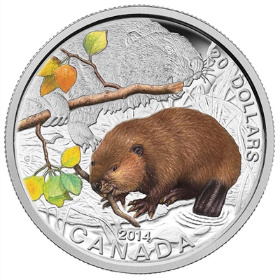 RDC 2014 Canada $20 Baby Animals - The Beaver Fine Silver (No Tax) missing sleeve
