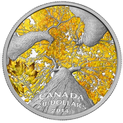 2014 $20 Canadian Maple Canopy: Autumn Allure Fine Silver (No Tax)