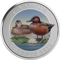2015 25-cent Ducks of Canada - Cinnamon Teal Coloured Cupronickel Coin