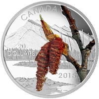 2015 $20 Forests of Canada - Boreal Balsam Poplar Fine Silver (No Tax)