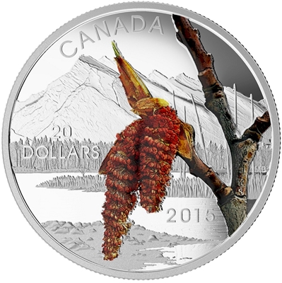 2015 $20 Forests of Canada - Boreal Balsam Poplar Fine Silver (No Tax)