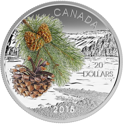 2015 $20 Forests of Canada - Coast Shore Pine Fine Silver (No Tax)