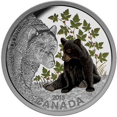 RDC 2015 Canada $20 Baby Animals - Black Bear (No Tax) scratched capsule