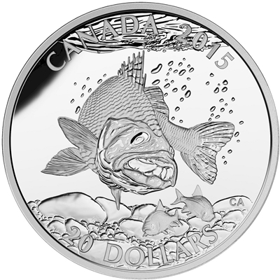 2015 Canada $20 North American Sportfish - Walleye (No Tax)