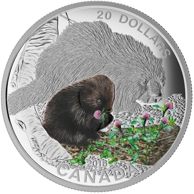 RDC 2016 Canada $20 Baby Animals - Porcupine Fine Silver (No Tax) scratched