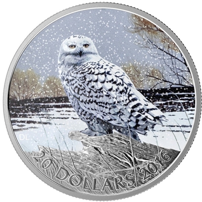 2015 (2016) Canada $20 Snowy Owl Fine Silver coin (TAX Exempt)