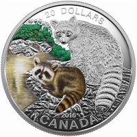 2016 Canada $20 Baby Animals - Baby Raccoon Fine Silver (No Tax)