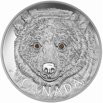 2016 Canada $250 In The Eyes of the Spirit Bear Silver (No Tax) Missing outer sleeve