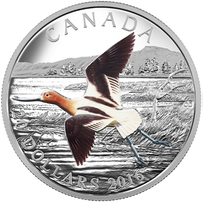 2016 Canada $20 Migratory Birds - The American Avocet Fine Silver Coin (TAX Exempt)