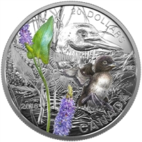 2016 Canada $20 Baby Animals - Common Loon Fine Silver (No Tax)