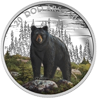 2017 Canada $20 Majestic Animals - The Bold Black Bear Fine Silver (No Tax)