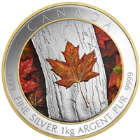 2016 Canada $250 Maple Leaf Forever Fine Silver (No Tax) Missing outer sleeve.