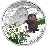 2016 Canada $20 Baby Animals - The Woodchuck Fine Silver (No Tax)